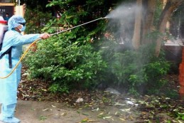 Diệt muỗi tại Sơn La – Công ty phun diệt muỗi Tuấn Trần