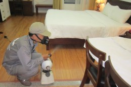 Kinh nghiệm diệt muỗi trong phòng ngủ đơn giản