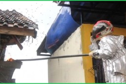 Dịch vụ kiểm soát ong, bắt ong độc tại Thái Nguyên – Công ty diệt côn trùng